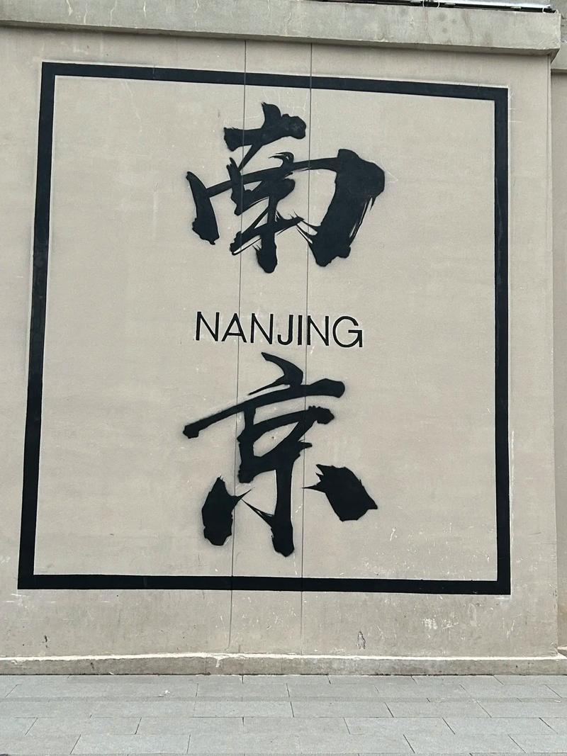 樹是梧桐樹,城是南京城!#南京打卡